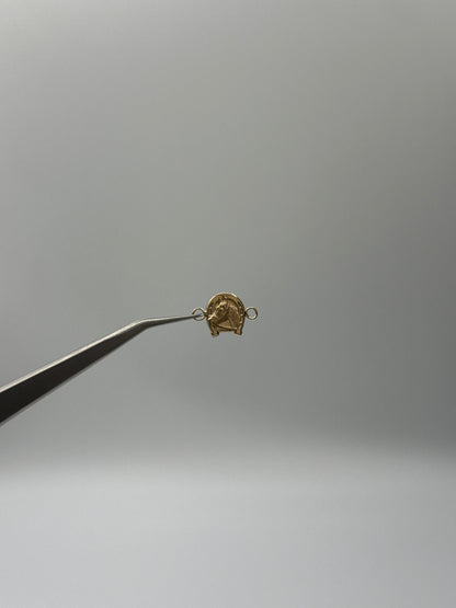 Herraje Caballo Oro amarillo 18k 0,51 Gr / 1 Cm