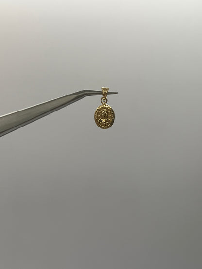 Dije Maria Rosa Mistica Oro amarillo 18k 0,51 Gr / 8,32 mm / 1 Cm